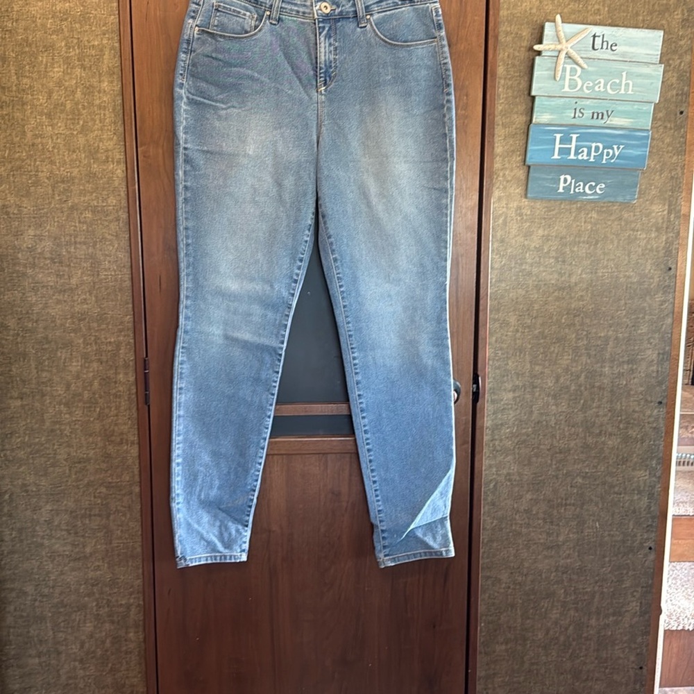 Style & Co. Blue Skinny Jeans with Curvy Fit